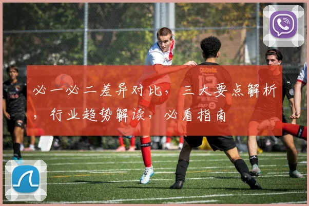 必一必二差异对比，三大要点解析，行业趋势解读，必看指南