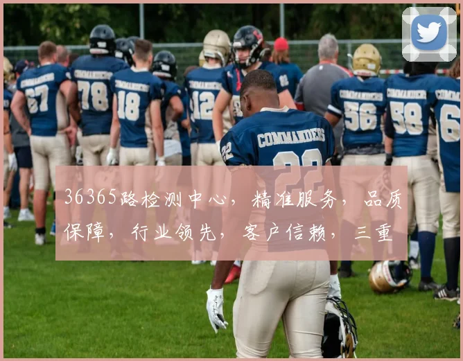 36365路检测中心，精准服务，品质保障，行业领先，客户信赖，三重优势，值得信赖